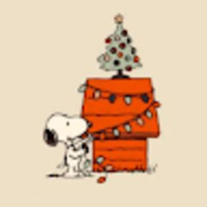 Meet your Posher, Eva